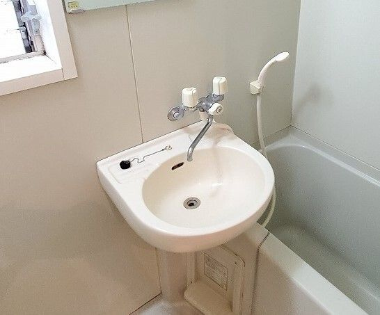 ドミール妙典の洗面所