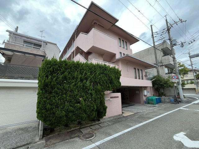 パンプランテ甲子園