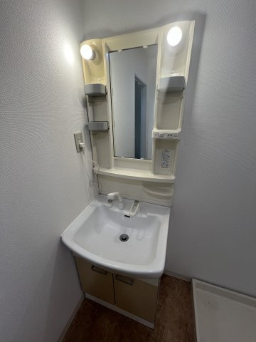 グリーンコートBの洗面所