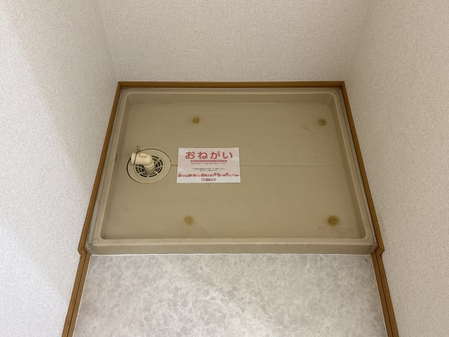 カイルアのその他