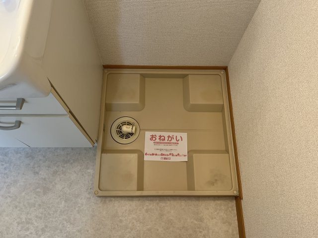 ポポラーレのその他
