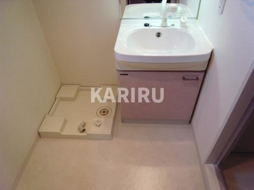 ジュネーゼプレシャス森ノ宮の洗面所