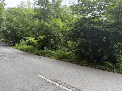 【前面道路含む現地写真】 | 佐久市内山贈与土地