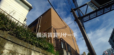  | リトルフォレスト