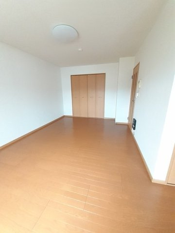 ベルカーナの内装