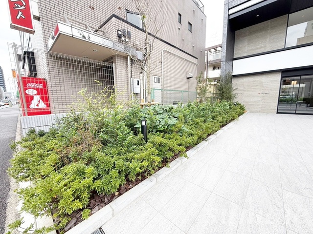 ドゥーエ大宮Ⅱのその他|植栽です☆