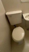 相模原市南区東林間３丁目の賃貸マンションのトイレ