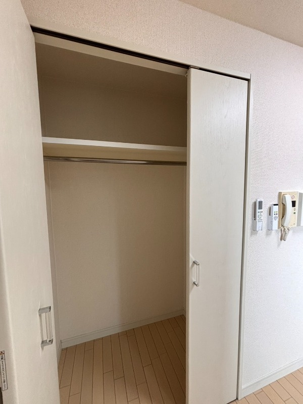 港区六本木２丁目の賃貸マンションの収納|たっぷりとした収納スペースです