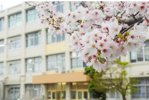 高嶺小学校　徒歩23分