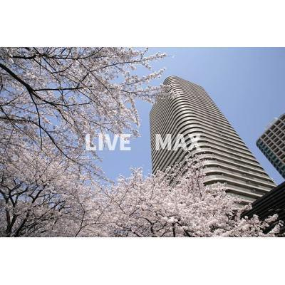 【外観】リバーポイントタワー
