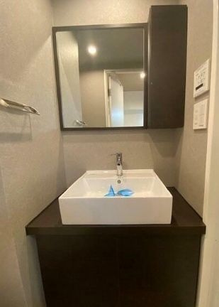 レジディア錦糸町の洗面所