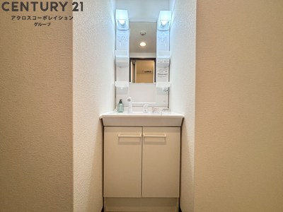 アメニティ収納棚ありの独立洗面台です