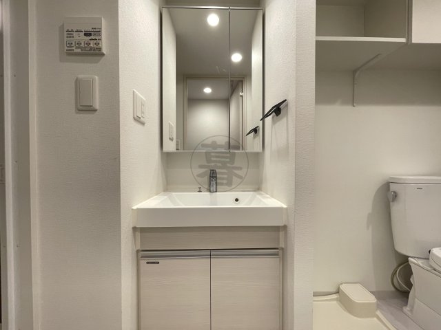 クレヴィスタ多摩川の洗面所