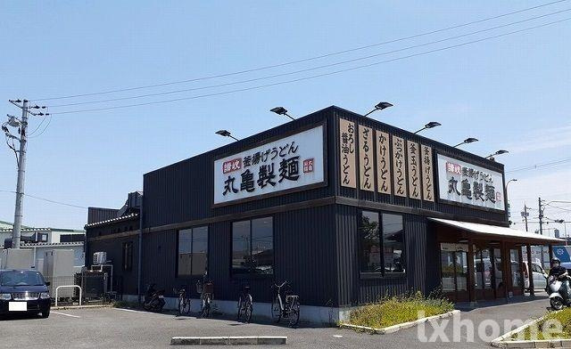 サニーエクセレントのその他