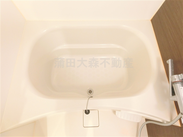 クレヴィスタ多摩川の浴室
