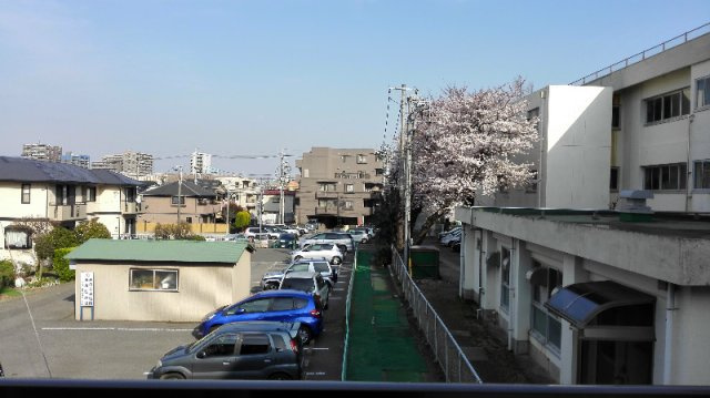 SKハイムの展望