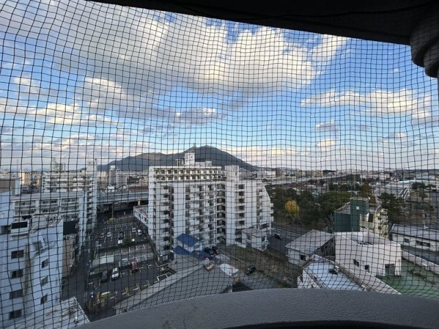 ロイヤルパレスの展望