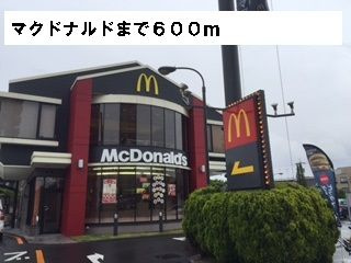 ラディナスティアのその他