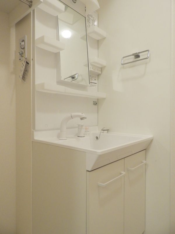 ヴェルジェ深田Vの洗面所