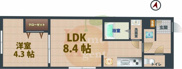 La Douceur新中野の画像