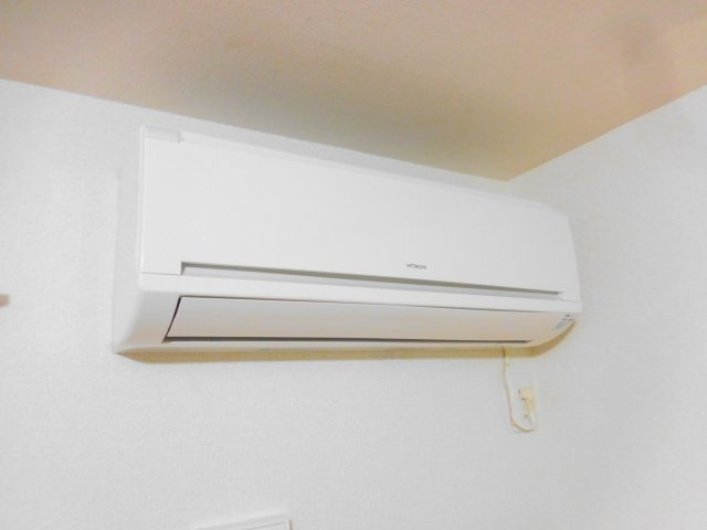 カーサパインのその他