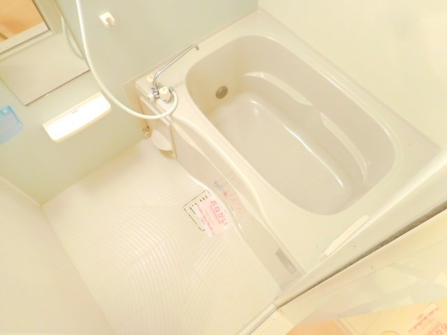 カーサパインの浴室