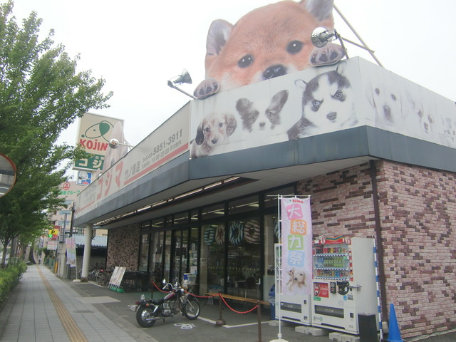 Ｄ　ｍｅａｓｕｒｅｓ　ｓｅｚａｋｉのその他|ペットショップ