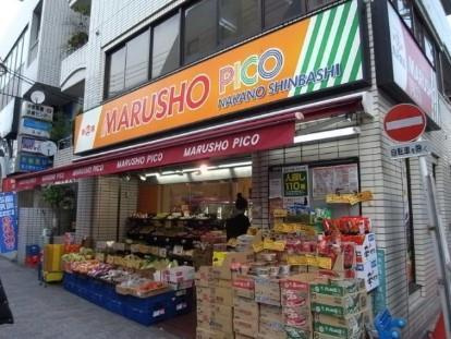 プラテリア弥生の周辺|丸正食品　Ｐｉｃｏ　中野新橋店まで138m 