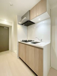 【玄関】 | S-RESIDENCE行徳aile | 参考写真（同物件別部屋）