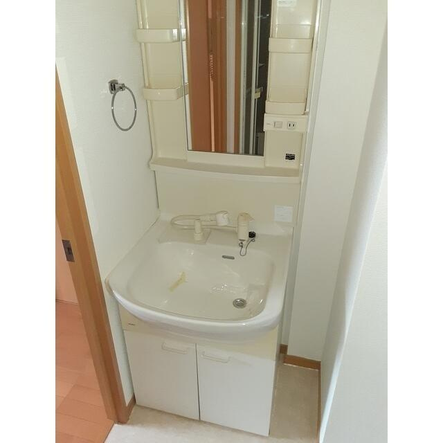ロイヤルガーデン哲学堂の洗面所|その他部屋 