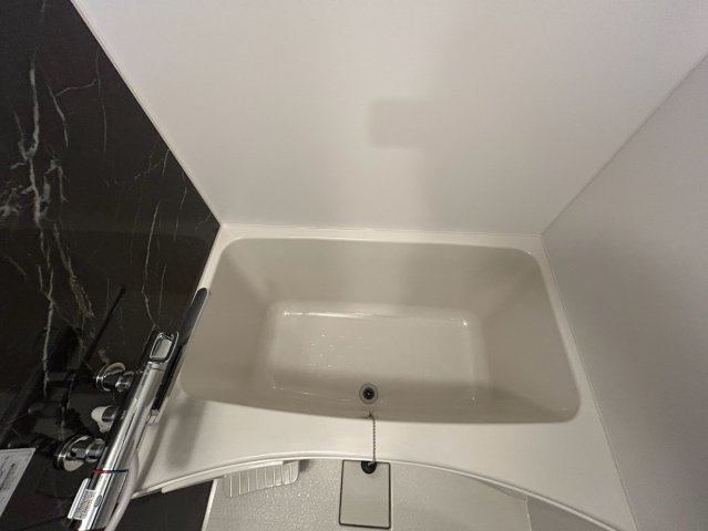 S-RESIDENCE阿波座bouncyの浴室