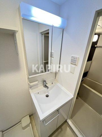 スプランディッド野江の洗面所