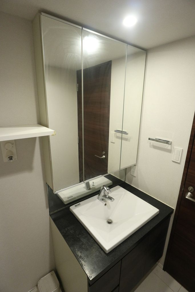 コンシェリア東京 ＴＨＥ ＲＥＳＩＤＥＮＣＥの洗面所|ゆったりとスペースのある洗面所