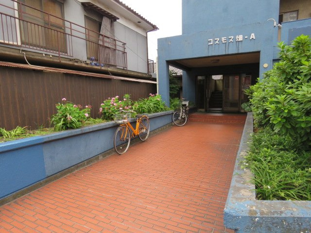 【エントランス】 | コスモス畑A