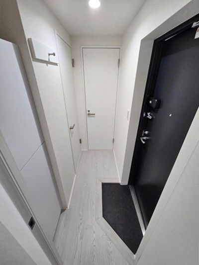 川口市中青木１丁目の賃貸マンションの玄関