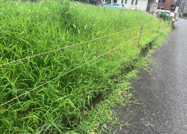 【外観】 | 人が暮らすうえで日光は大切な要素となります。日当たりの良さは譲れないポイントですね。併せて近くに大きな建築物の建築予定がないか、あるいはそれが可能な土地が近くにないか事前に確認することもお勧めします。