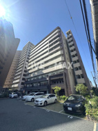 スプランディッドⅡの画像