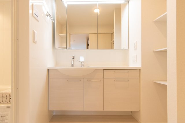 D-roomグランデの洗面所