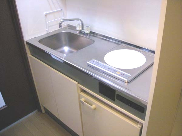 和泉市箕形町１丁目の賃貸マンションのキッチン|コンパクトなキッチンで掃除もラクラク