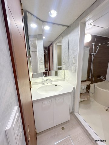 CITY SPIRE桜川2　仲介手数料無料の洗面所