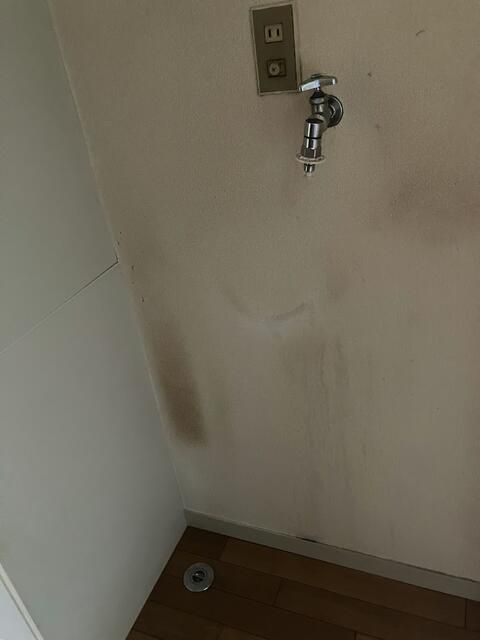 ベルゼⅡのその他