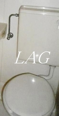 【トイレ】 | ダイヤモンドレジデンス錦糸町 | トイレです。
