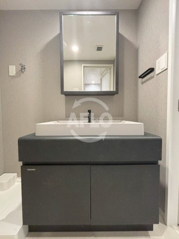 S-RESIDENCE大阪上本町の独立洗面台|S-RESIDENCE大阪上本町　独立洗面台