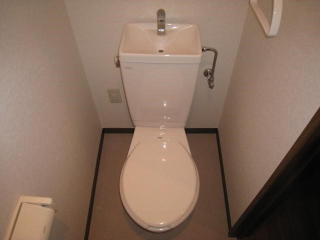 シャンティオンのトイレ