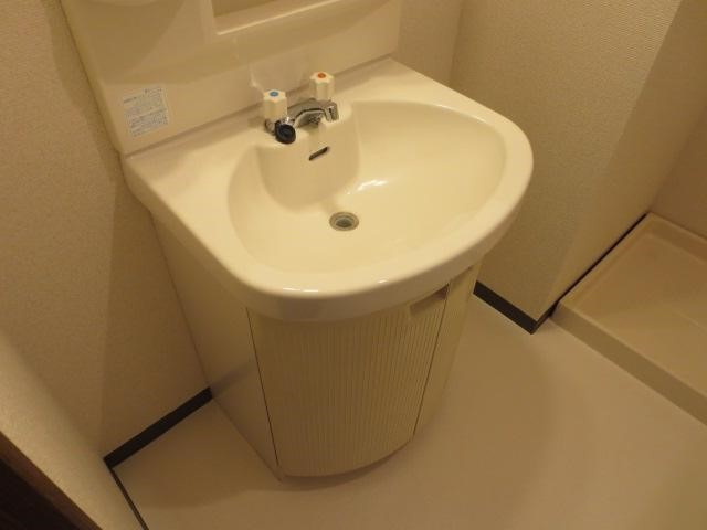 シャンティオンの洗面所