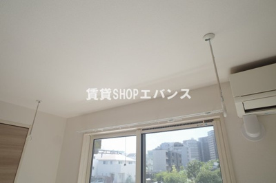  | ラビット