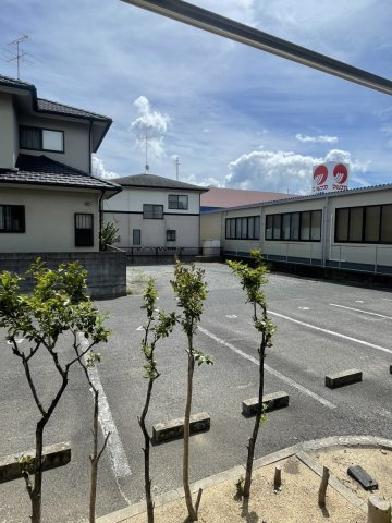 ノーブルセリスの展望