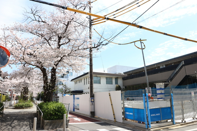 ヴェールメゾンのその他|桜並木