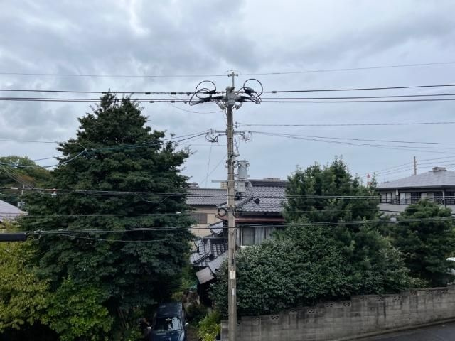 トゥルー　ハートの展望