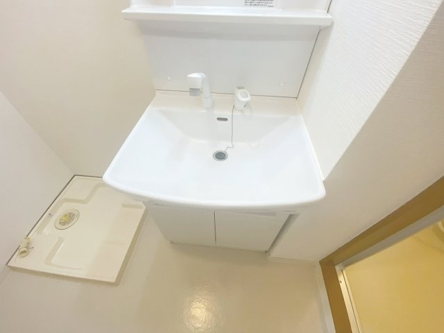 フェリーチェ宝塚の洗面所